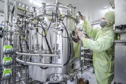 疫苗接種進行時 軟件開發行業接種須知與安全指南